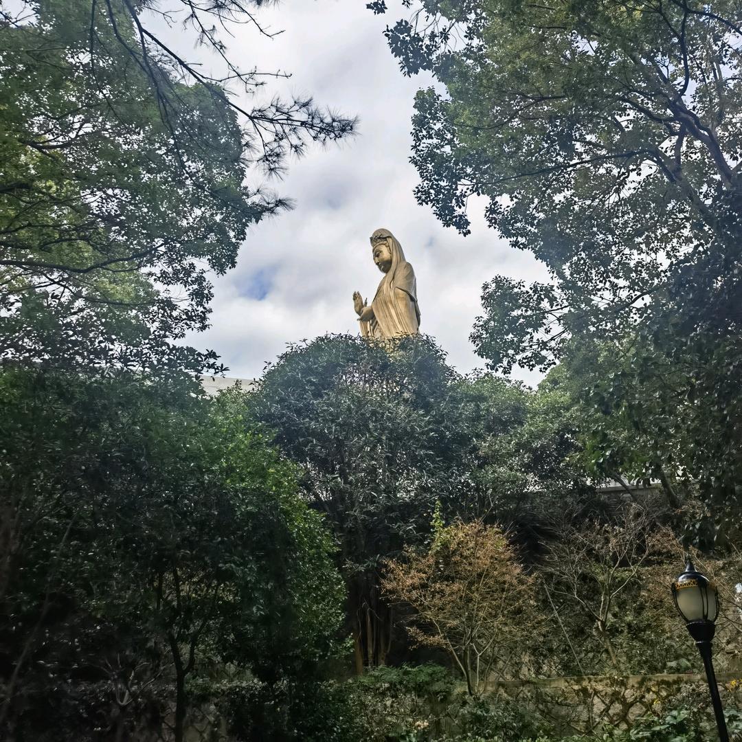 大宾哥