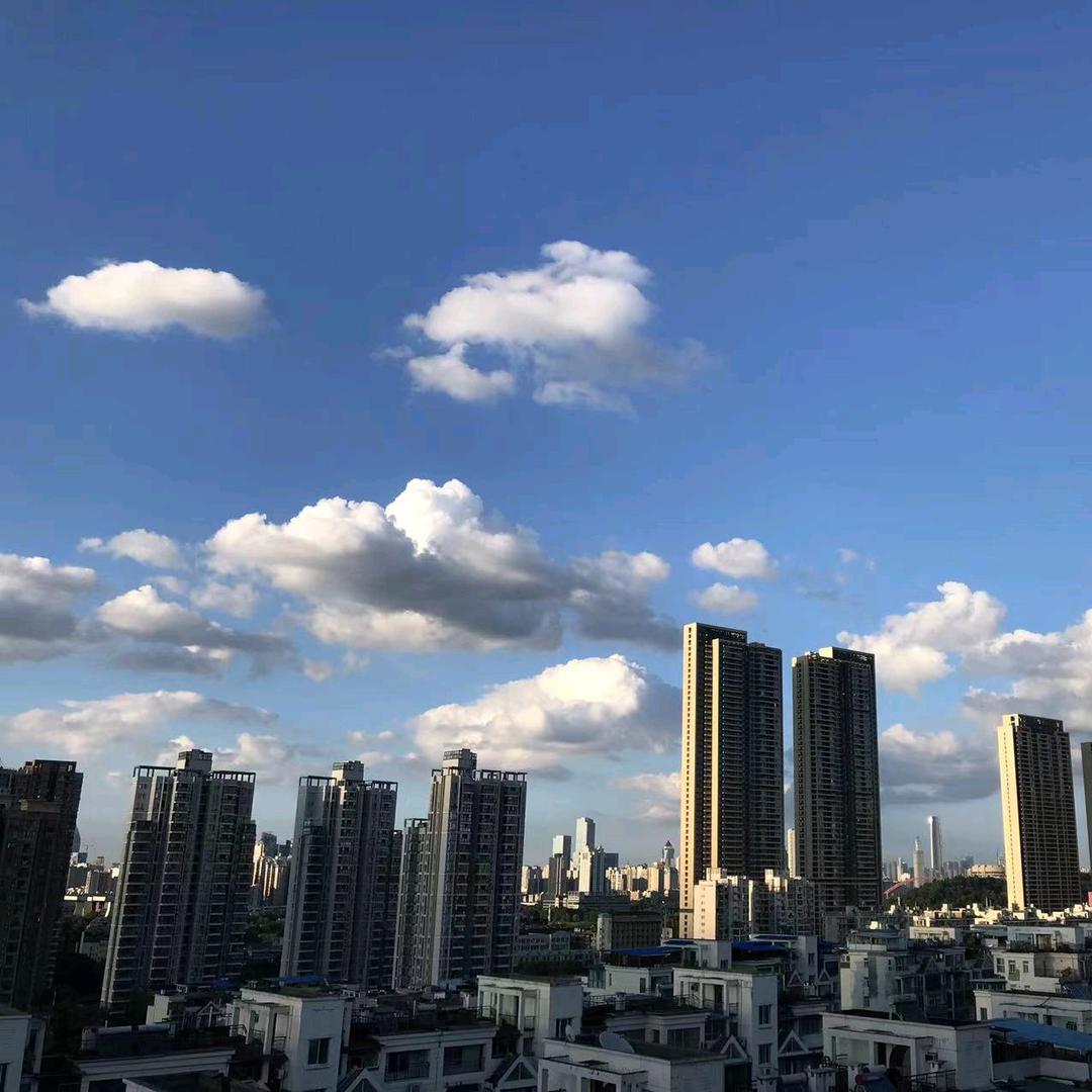 黑水牛