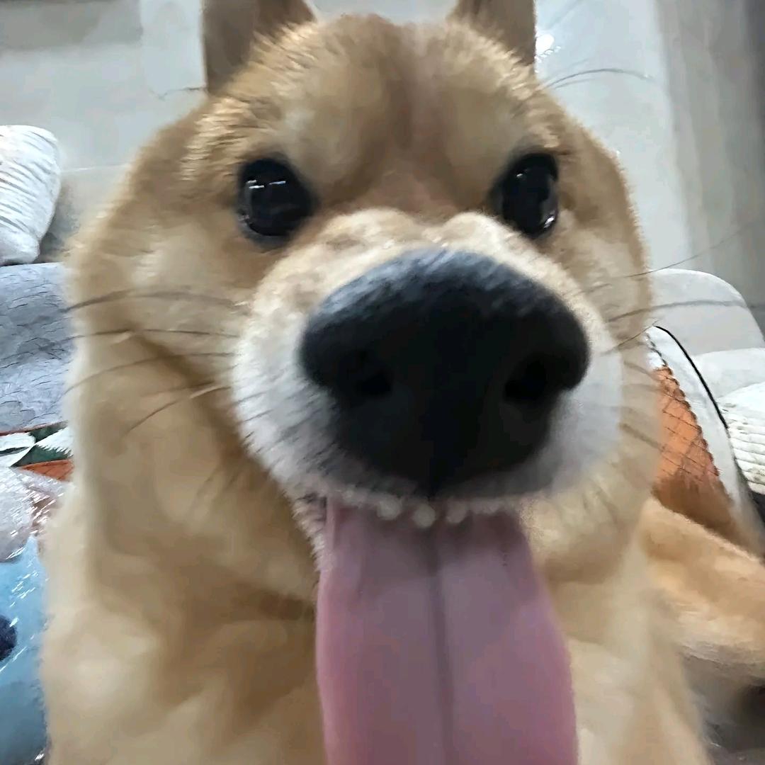 仇铭