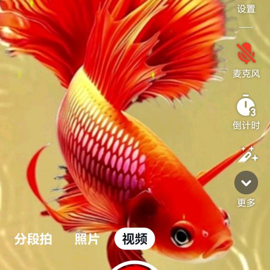 福运常在
