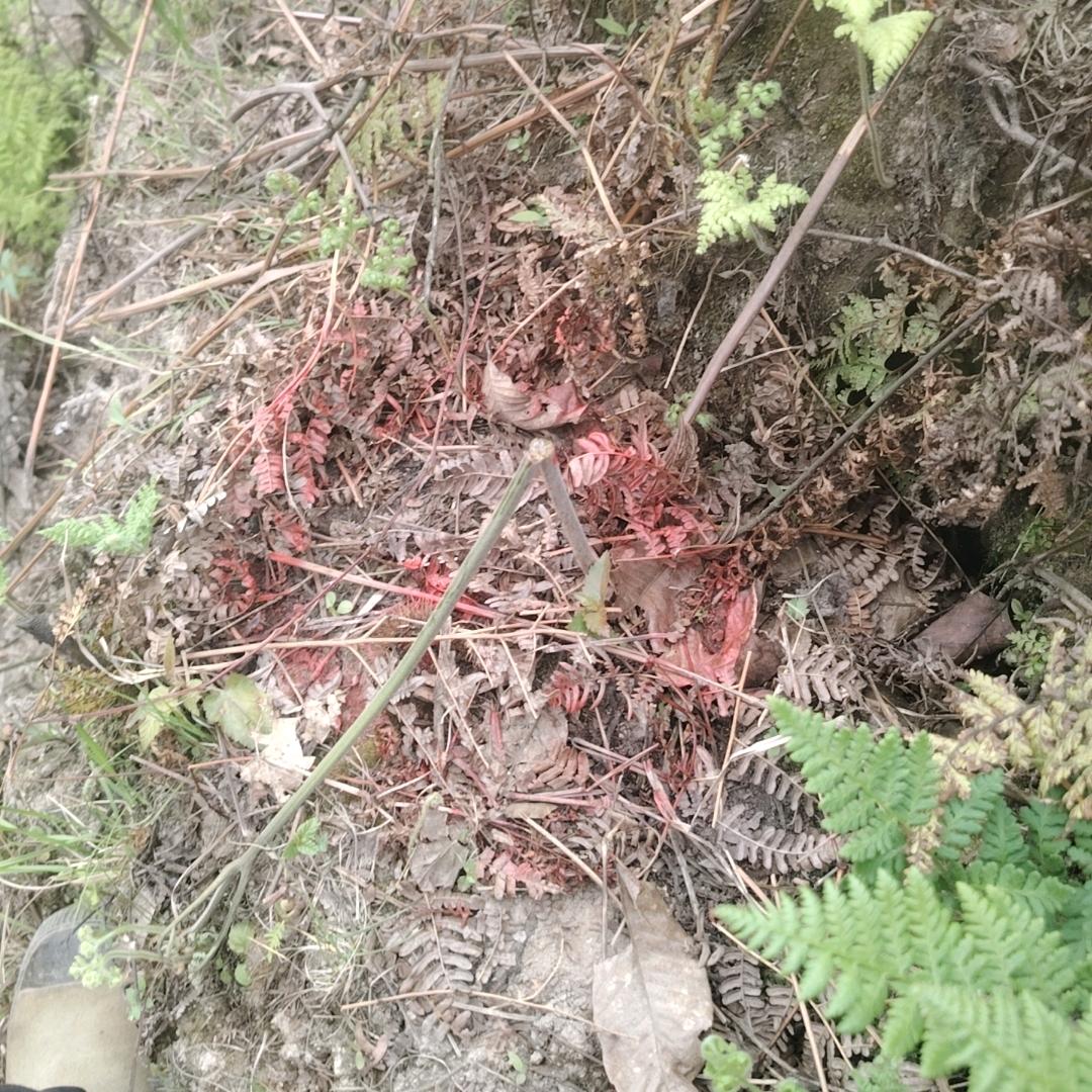 专业打水磨钻团队