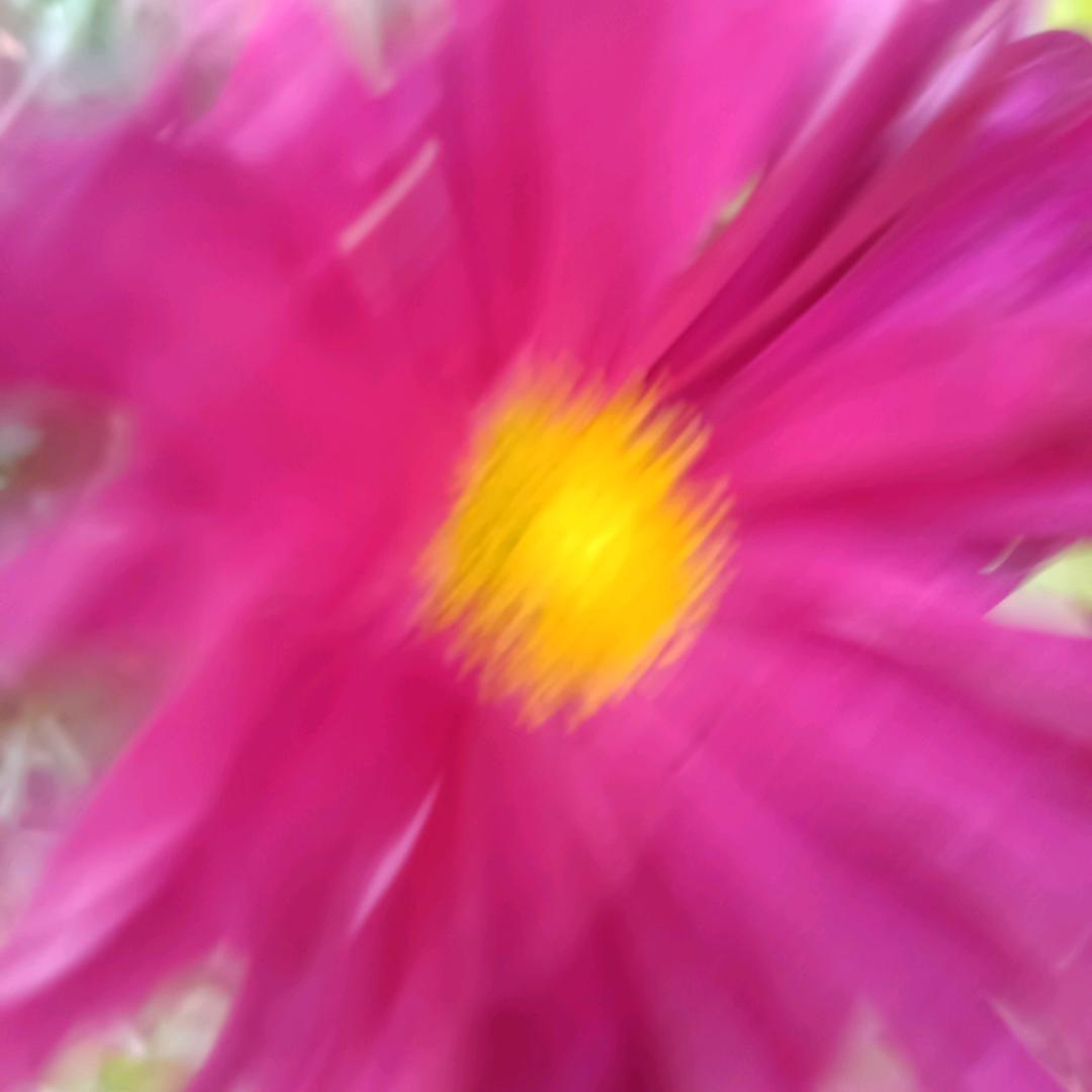 抖音，我看看【老吴的抖音