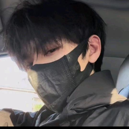 王者荣耀张小仙