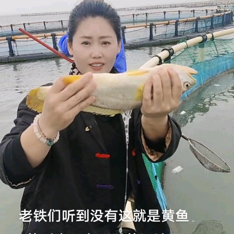 老渔生鲜