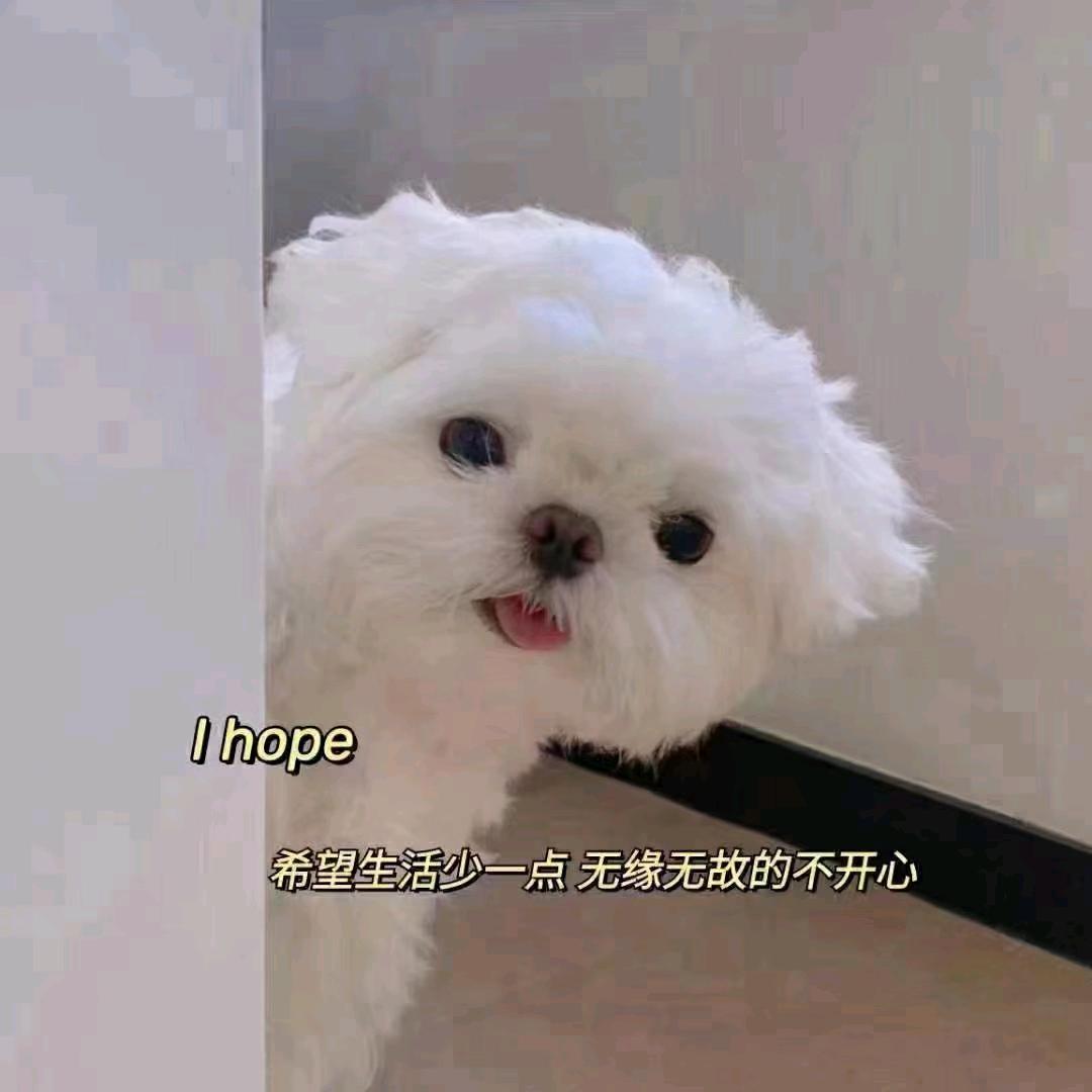 🎼🎹🎹🎹🎶🎧仁者自由主义?