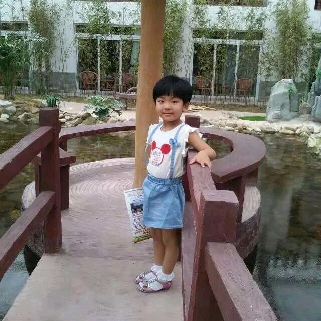 王军铲车，大小挖机