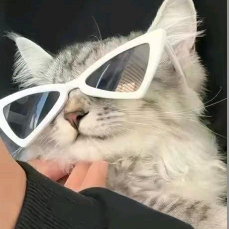 512
