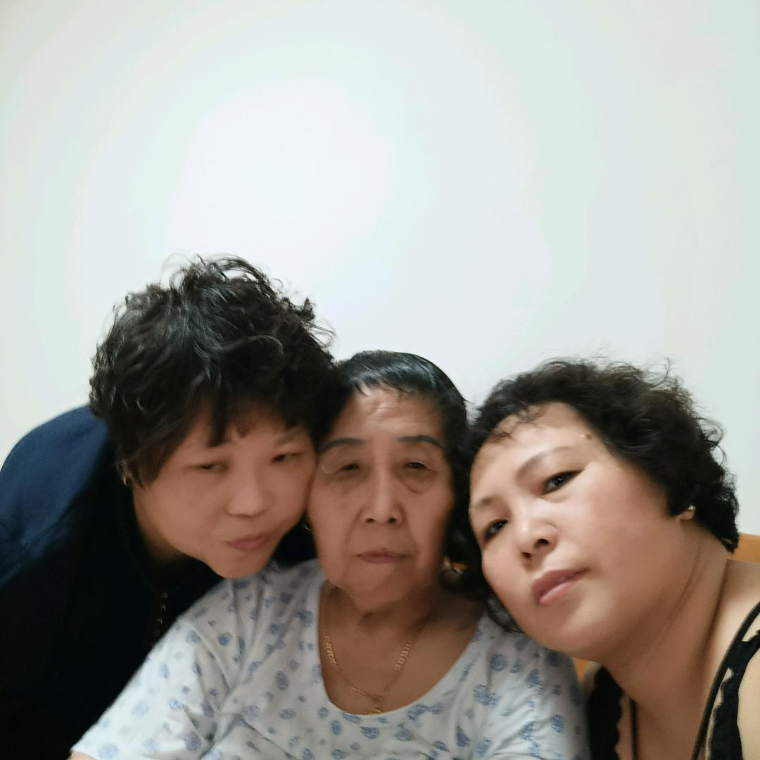 阳光的玫瑰