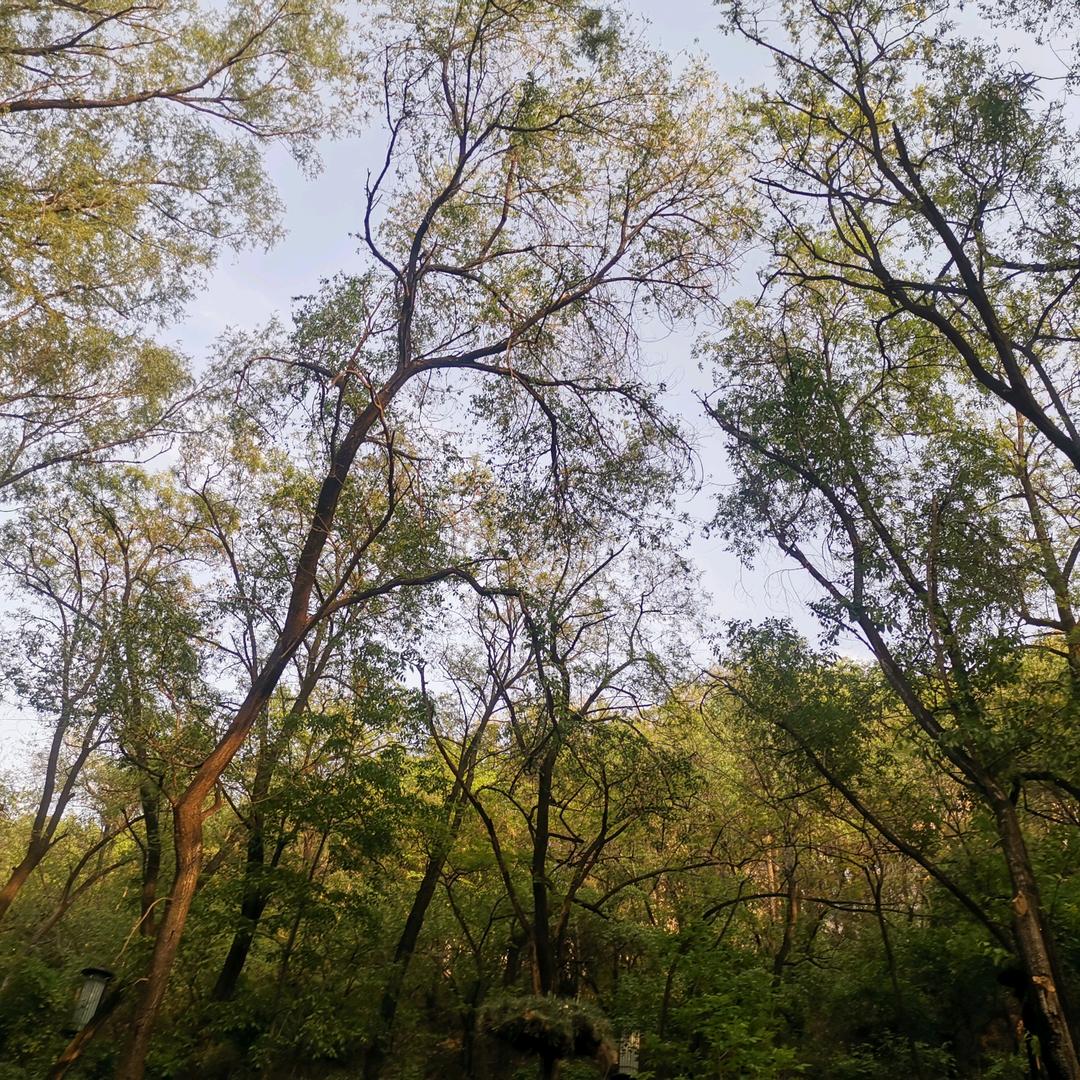 泡沫