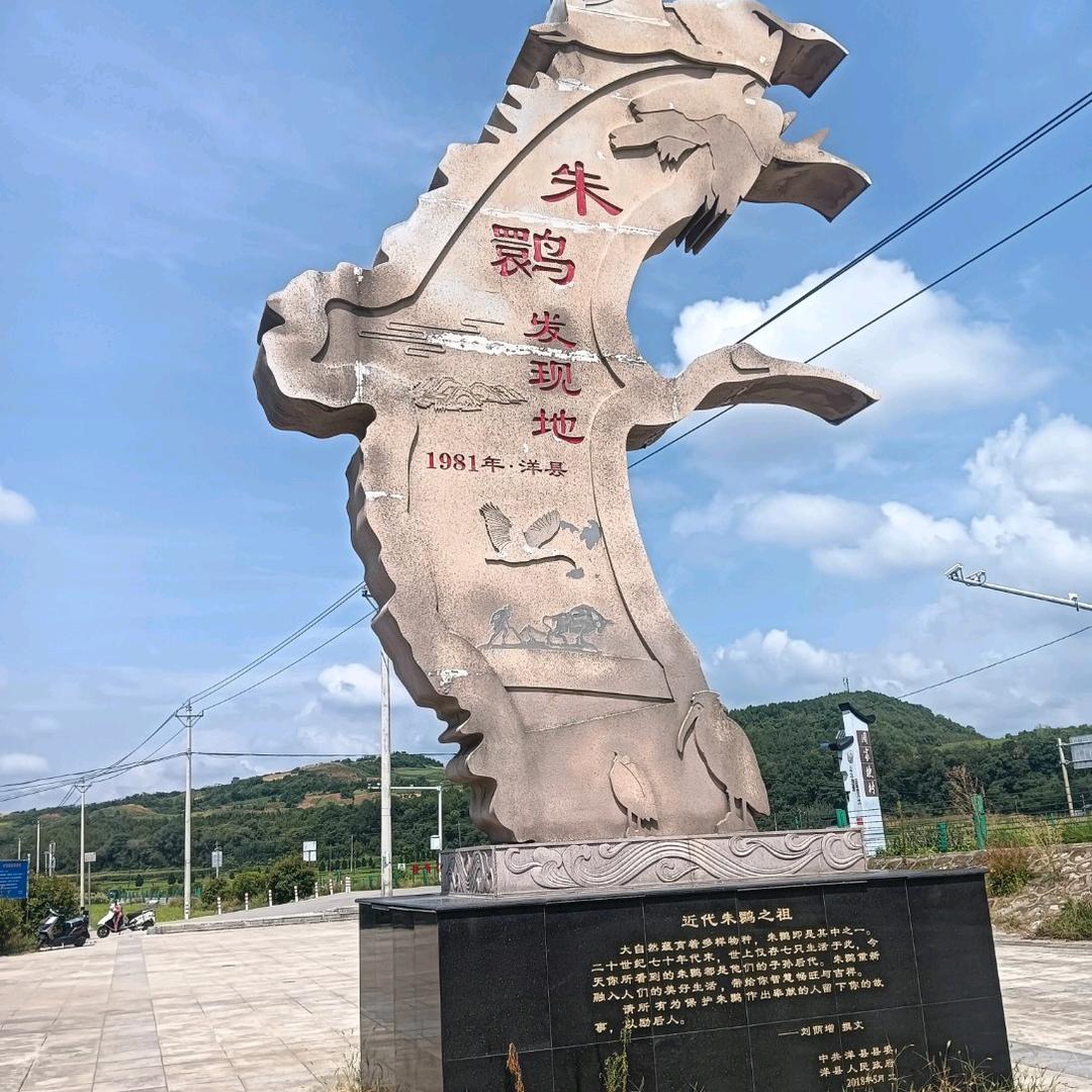 洋县杨妹土特产（洋县红哥米皮）