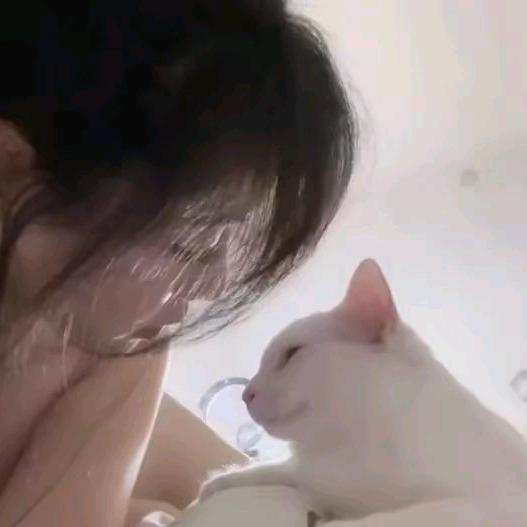 烦恼全无