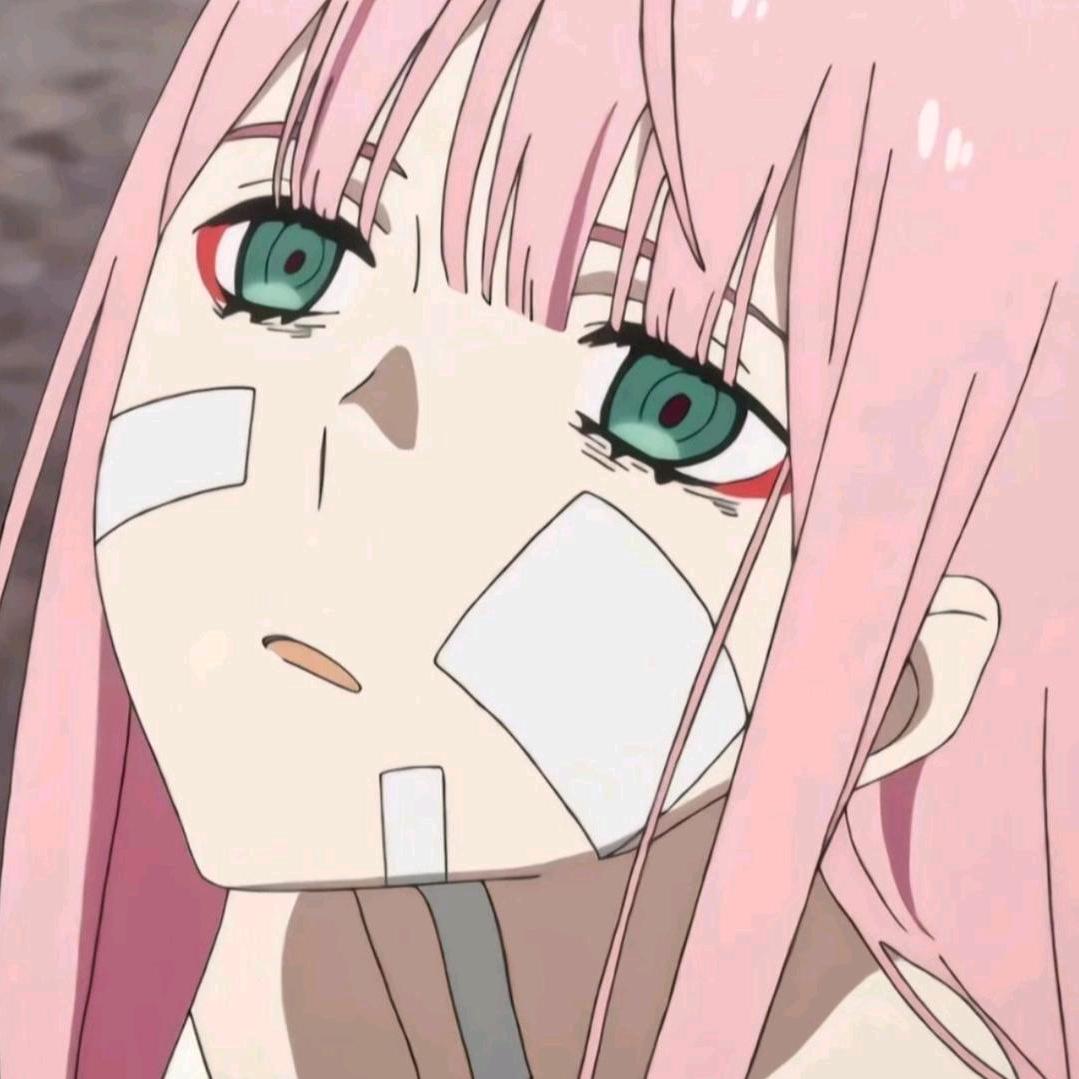 ❀零二❀
