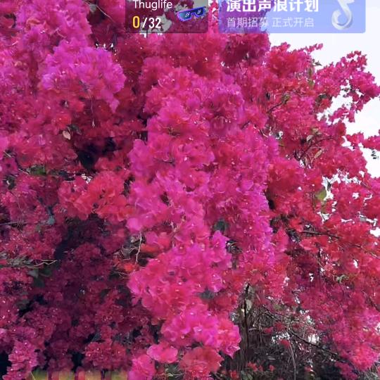 夏天的沫沫