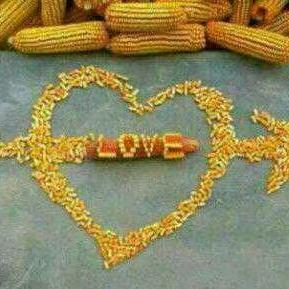 让我们为爱下厨房。