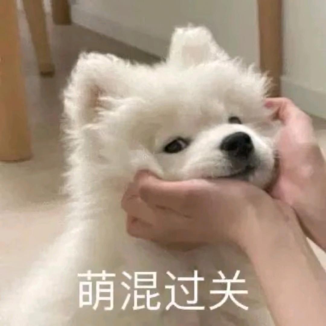 长风落