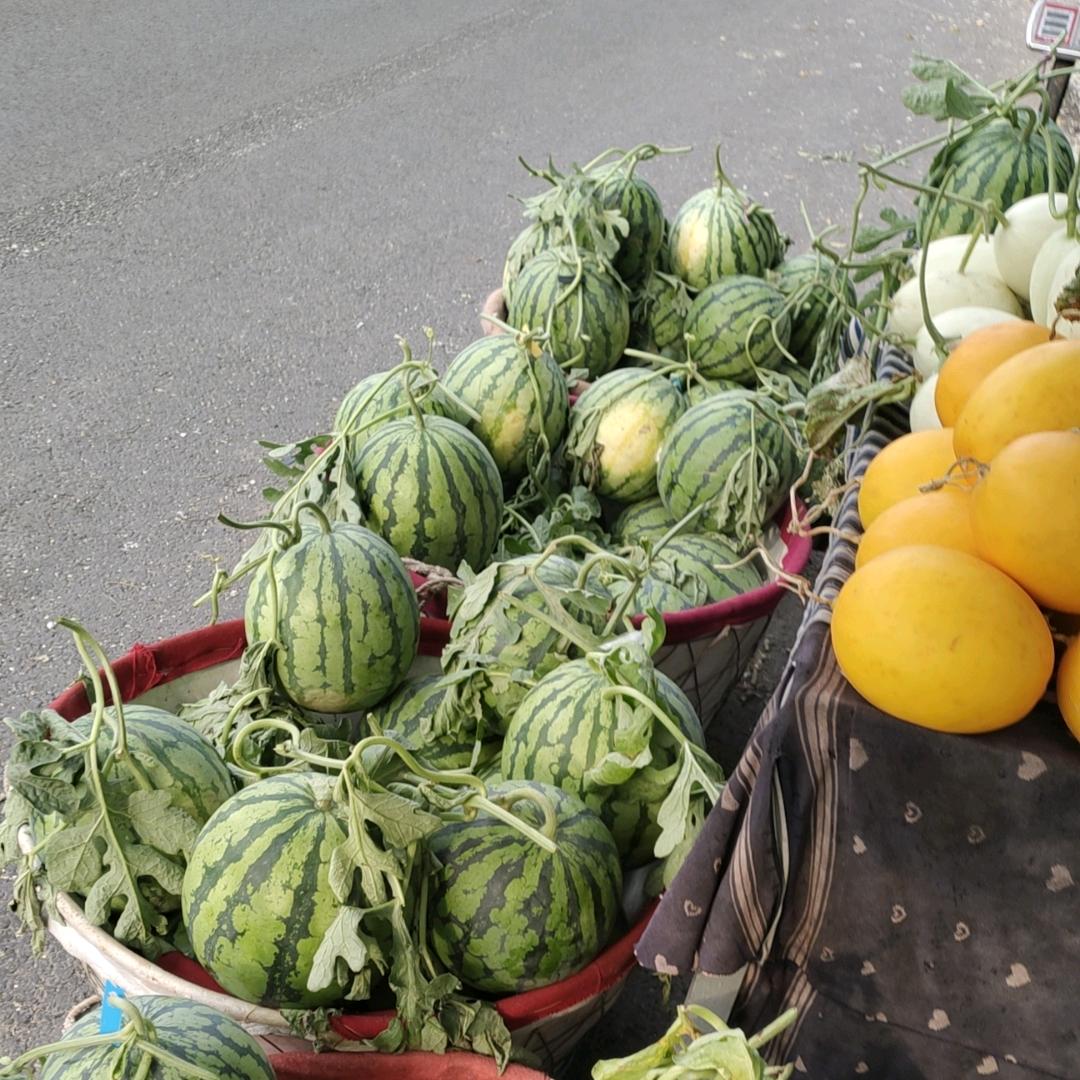 〆铥卟鋽の牵挂&……