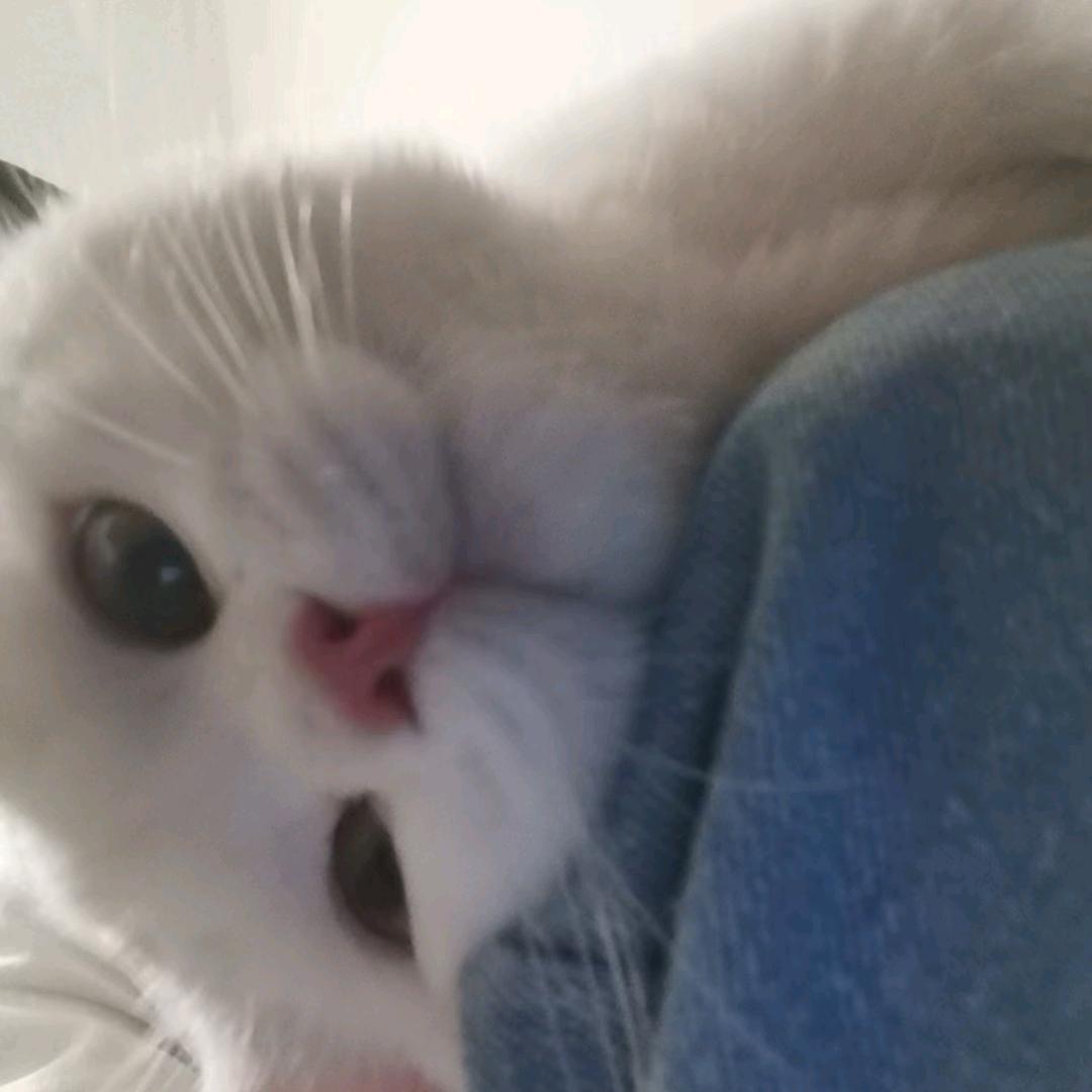 椰汁椰椰