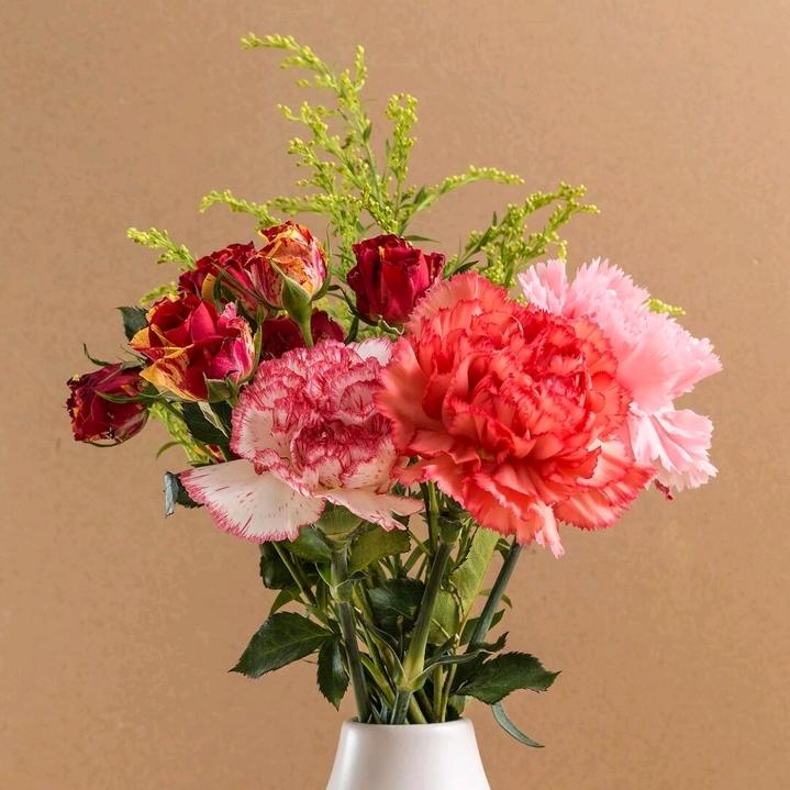 🦋ꦿ໊余生᭄🕊随心᭄ꦿᩚ٭