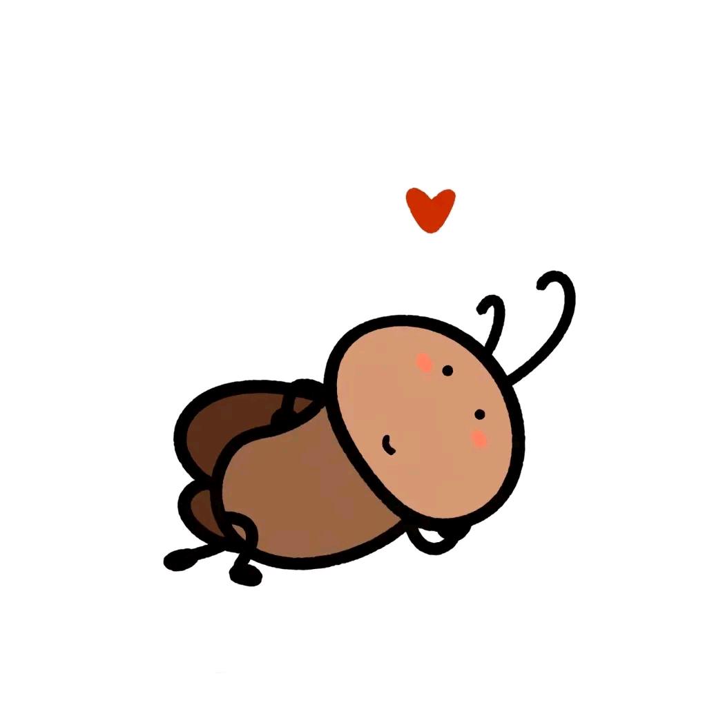 AAA螺丝批发蟑螂姐