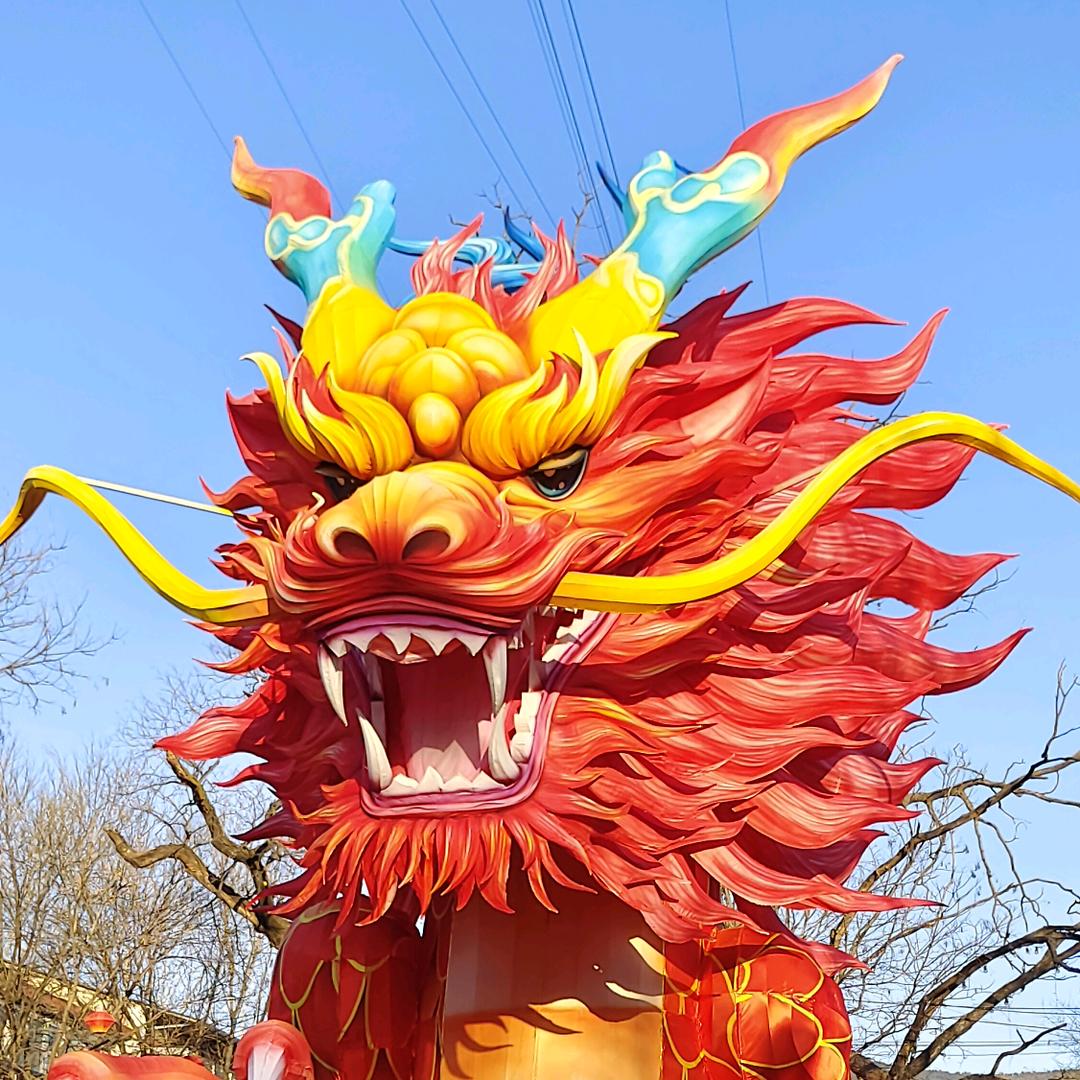꧁༺小张同学༻꧂
