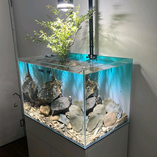 苏珂甄选