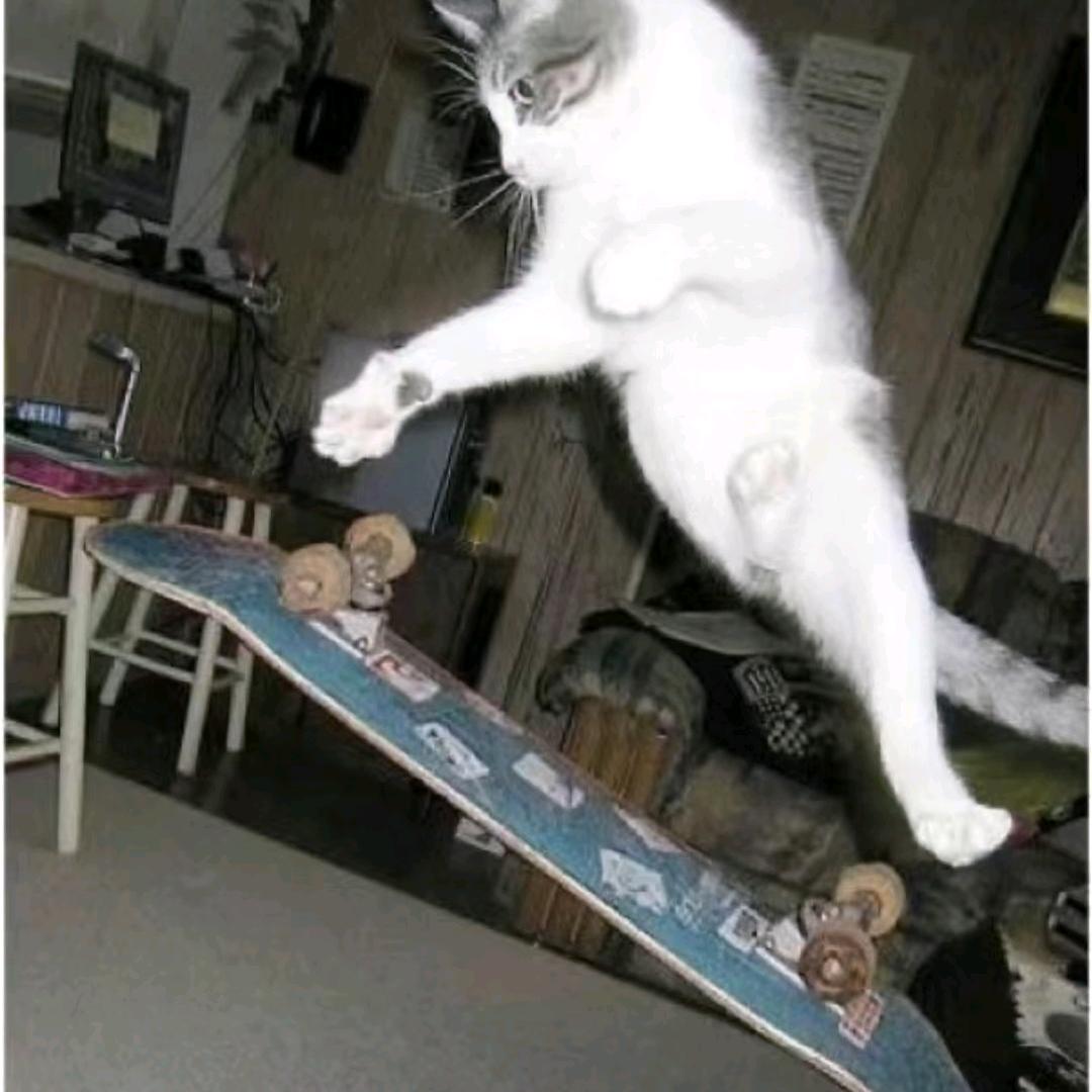 sk8wei