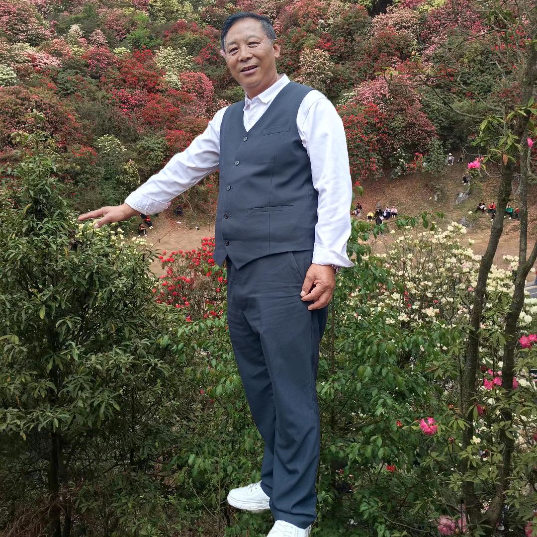 金萍果