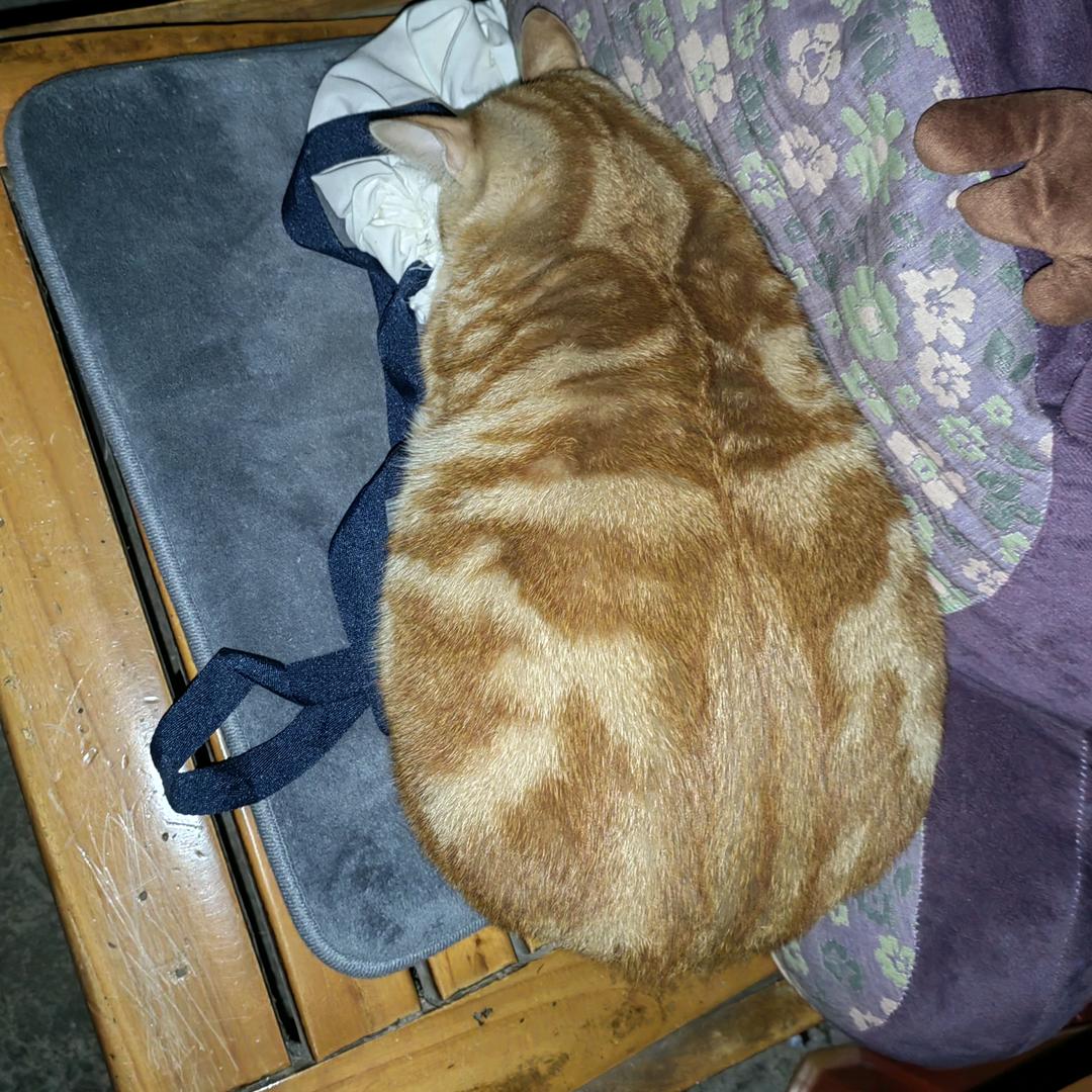 农村大橘（薯条）