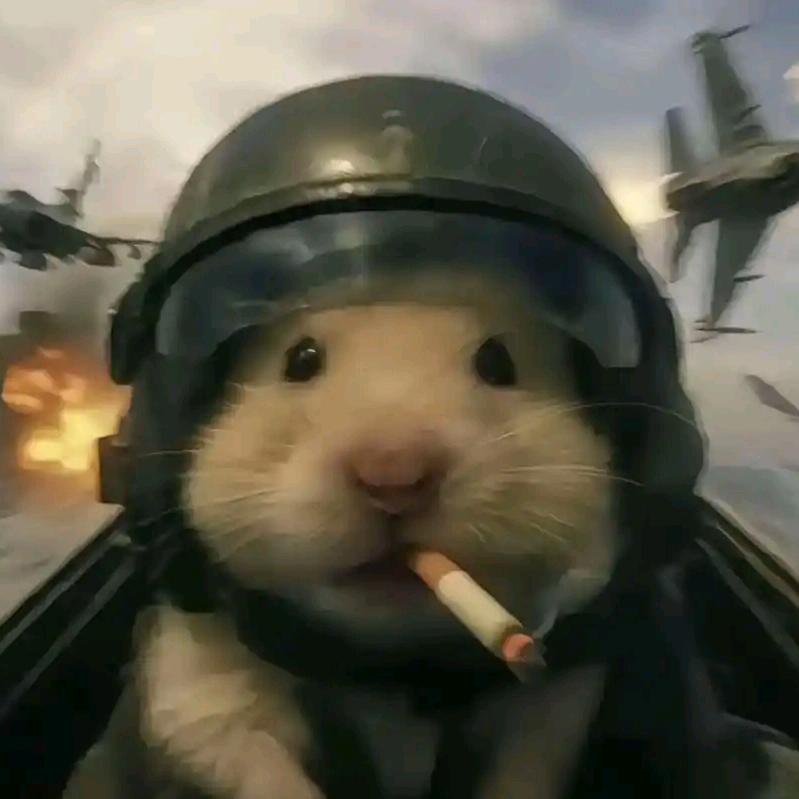 幸运鼠《三角洲行动》