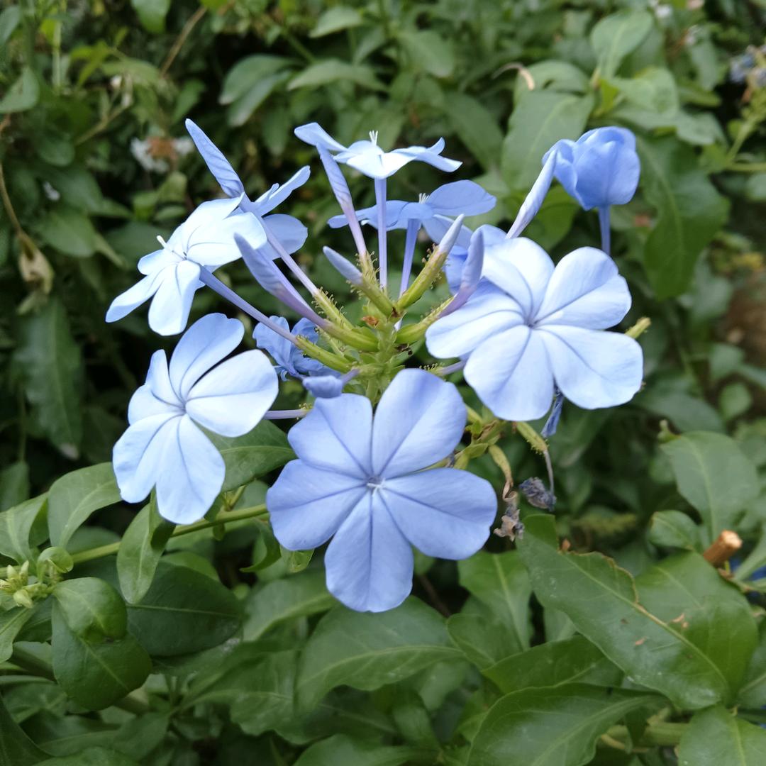 ℒℴѵℯ爱恨随意⁵²º᭄এ@@厨窗商品