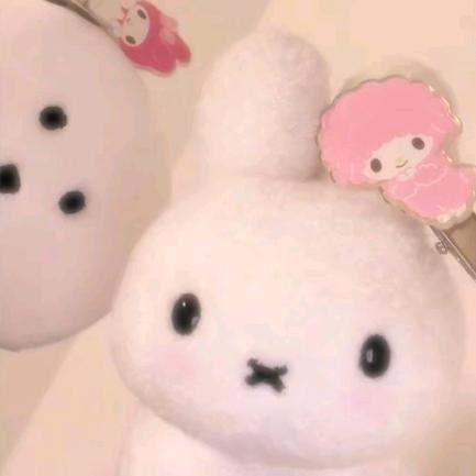 pphzzᜊ˃ ᵕ ˂ᜊ
