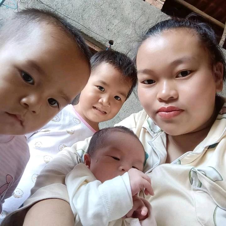 罗金燕燕子的燕