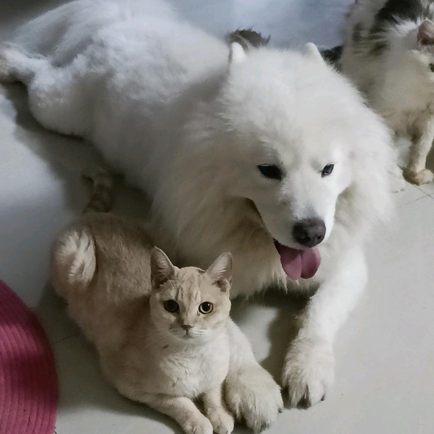 下班后的生活