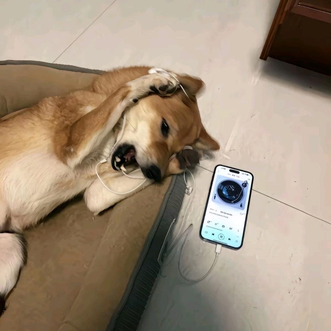 ✔