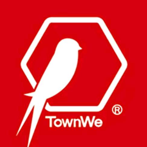 TownWe统艺仿石漆