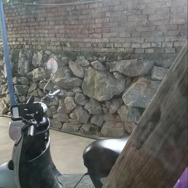小黄