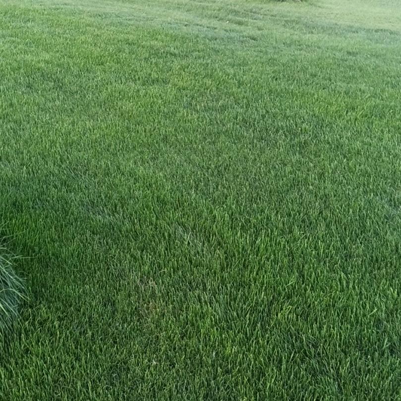 全椒县兆年草坪种植家庭农场(个人独资)