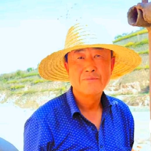 冰山上的来客