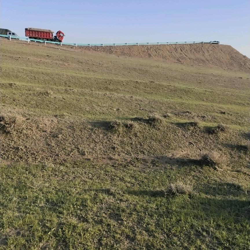 张婉怡记录生活