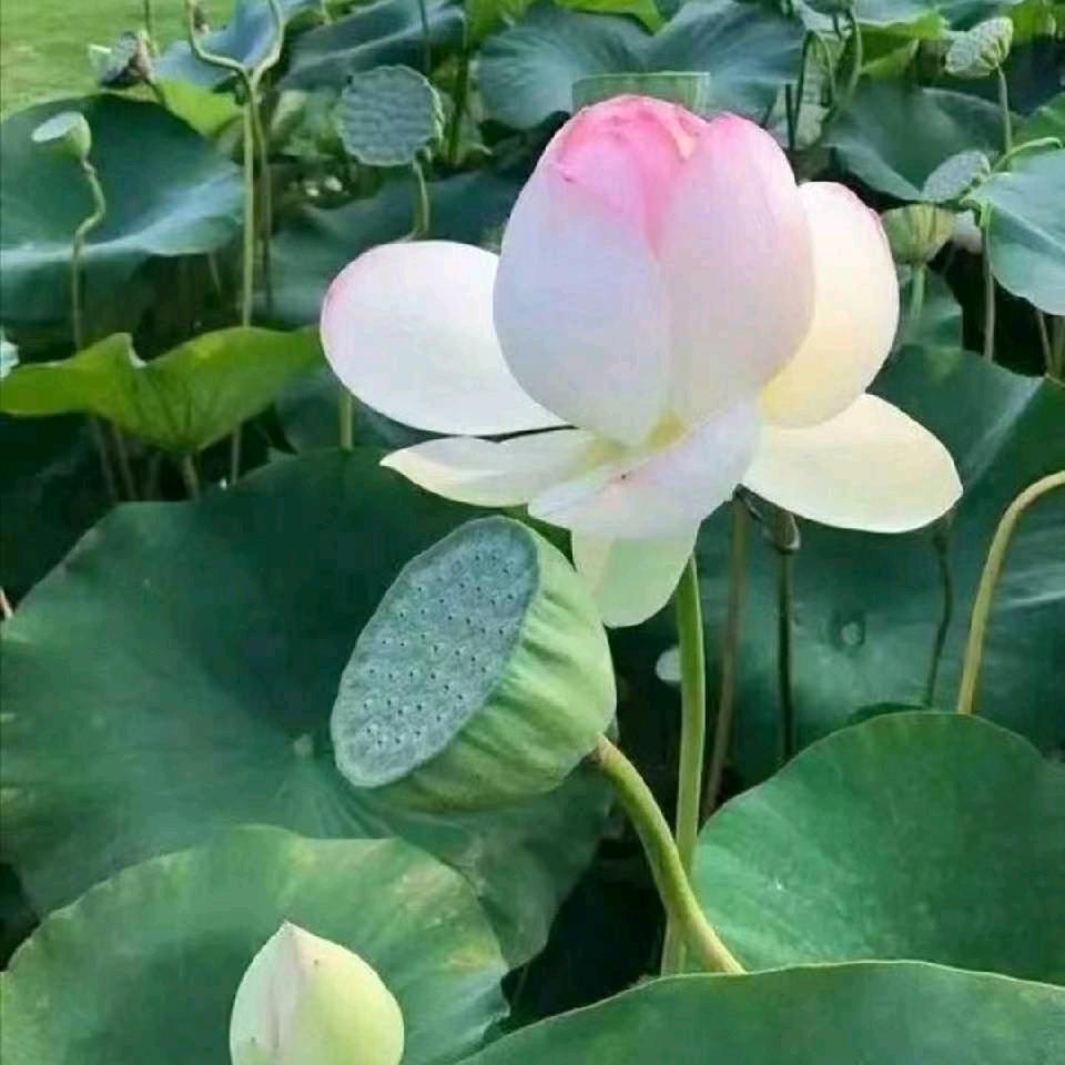 一切向钱看向厚看