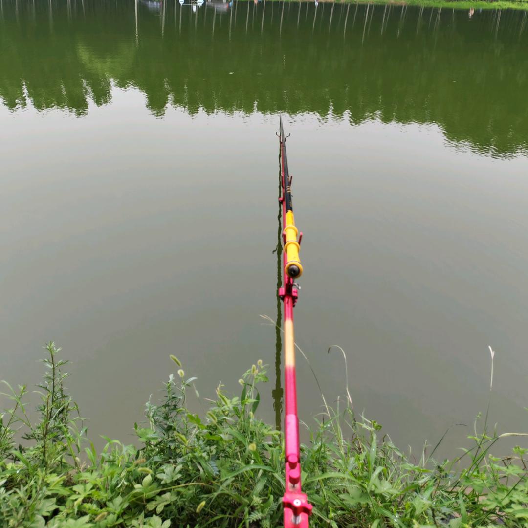 口头养鱼池垂钓园