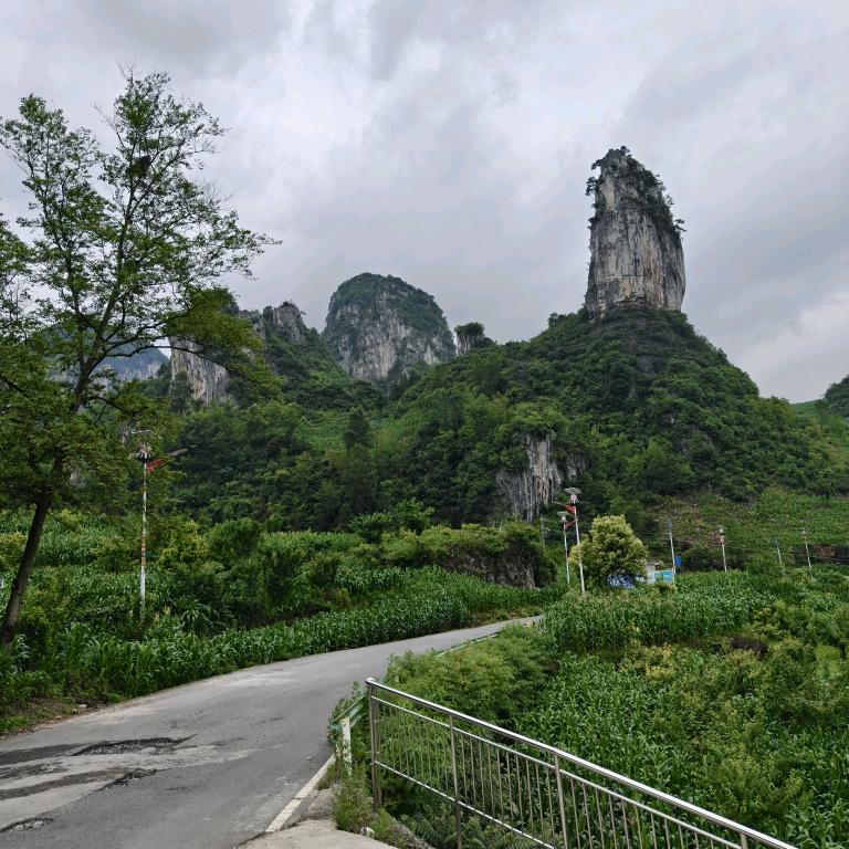 息烽永发木业
