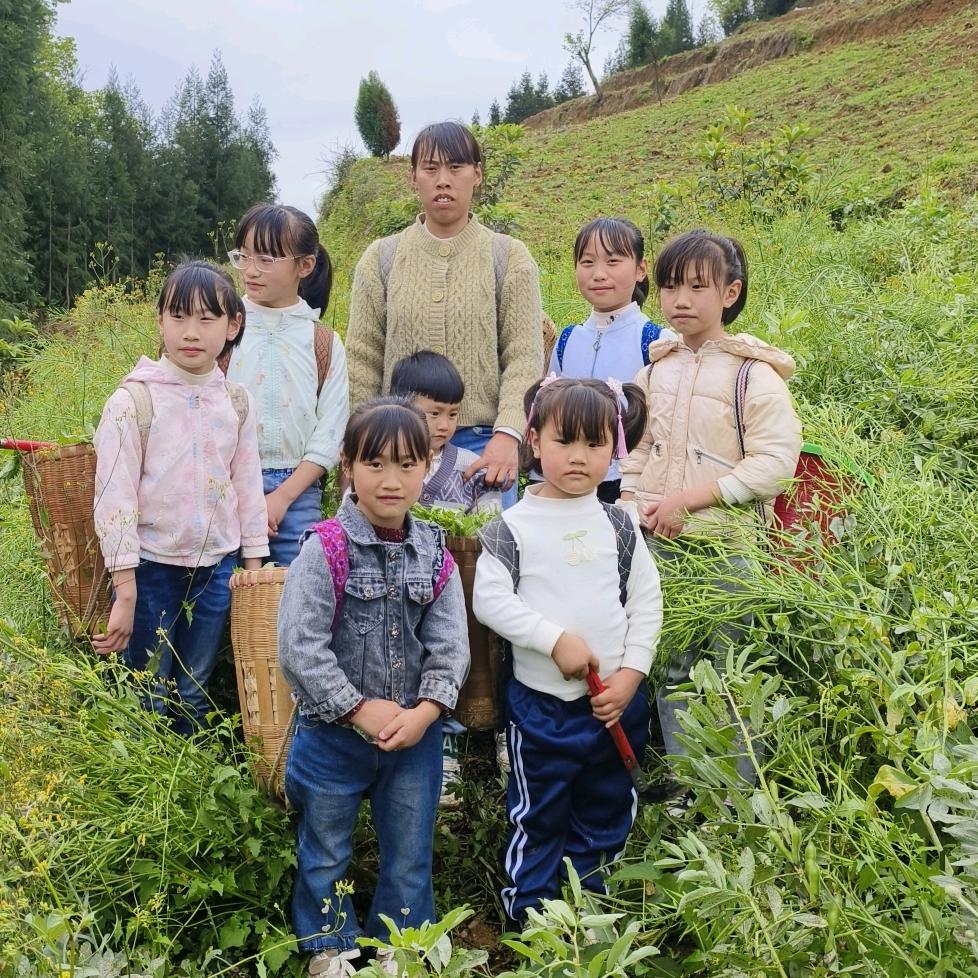 七胞胎的妈妈（尊师）爆款乞丐游哥