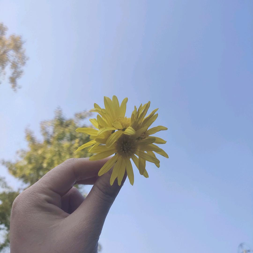 成都温江好房说