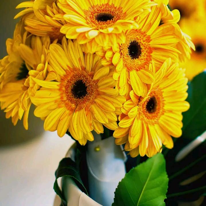 ꧔এ᭄有缘꧔დ᭄相遇꧔ꦿ