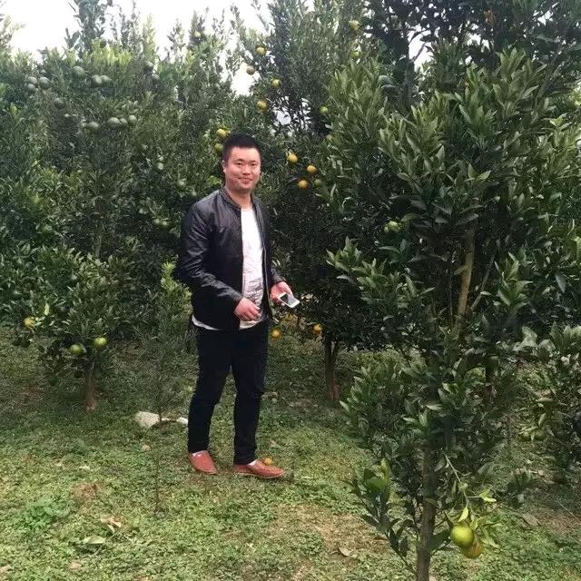 ღ᭄ꦿ木昜₅₂₀¹³¹⁴