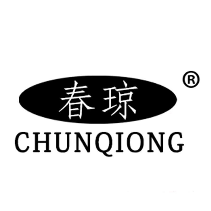 春琼货车记录仪六号店