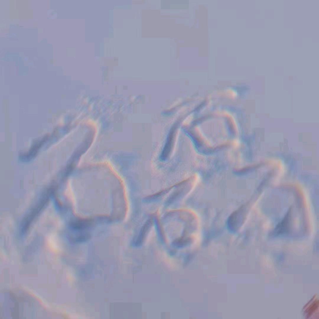 小磊爱吃辣🐍