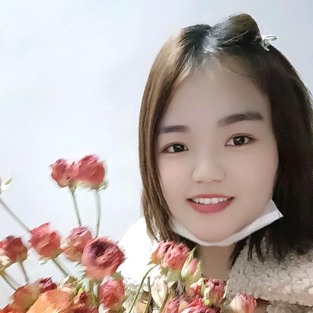 快乐的燕子