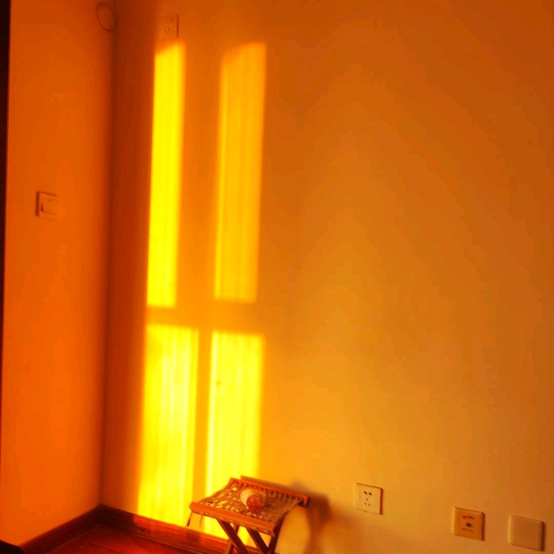 澜心映太阳📷